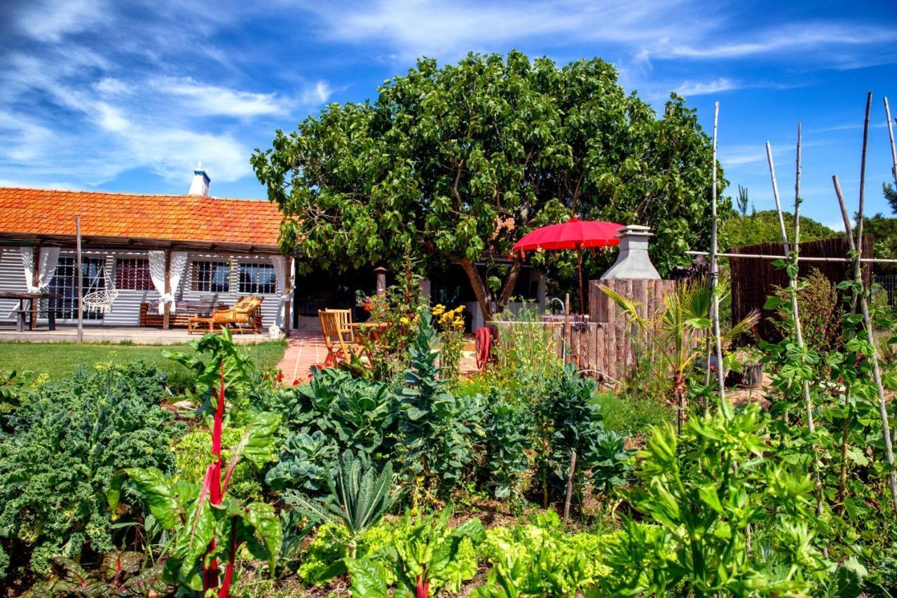 Appartamento Goodmuda Grândola Esterno foto