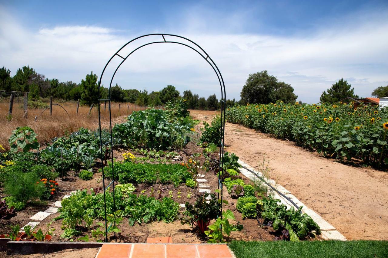 Appartamento Goodmuda Grândola Esterno foto